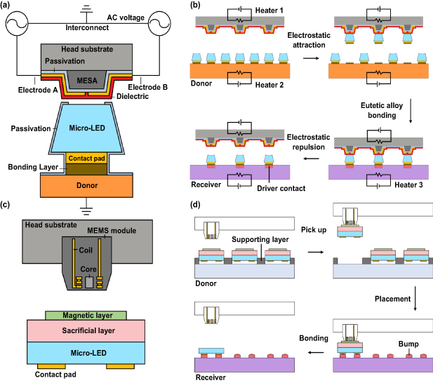 Micro Led Components Assembly and integration of micro-led displays: a review of transfer ...