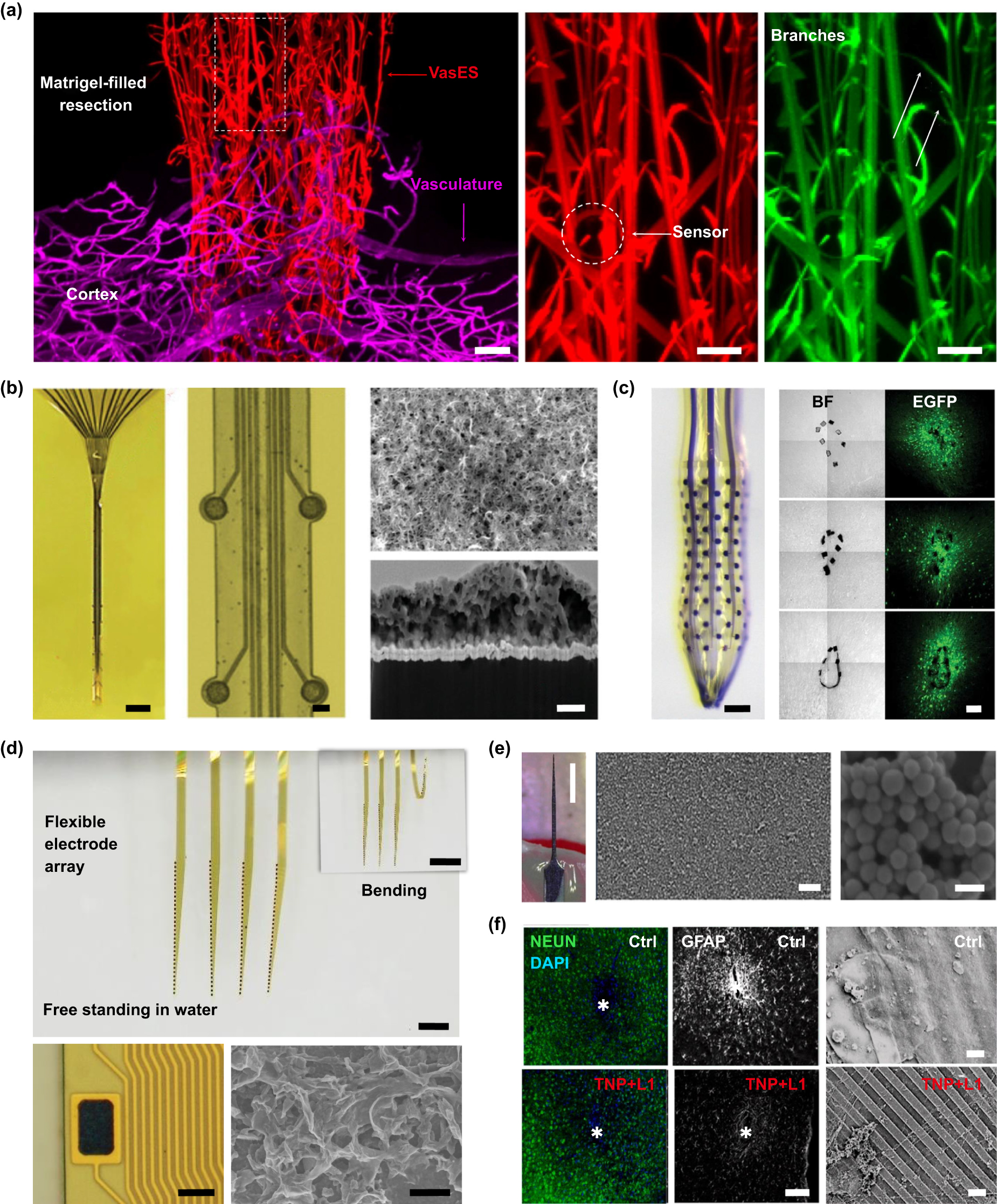 その他 dma Extreme manufacturing of minimally invasive intracortical neural