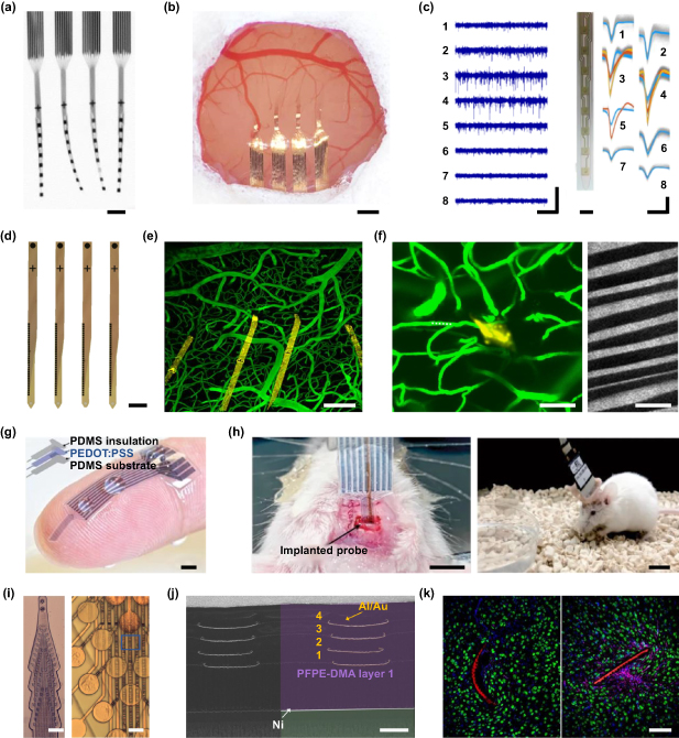Extreme manufacturing of minimally invasive intracortical neural