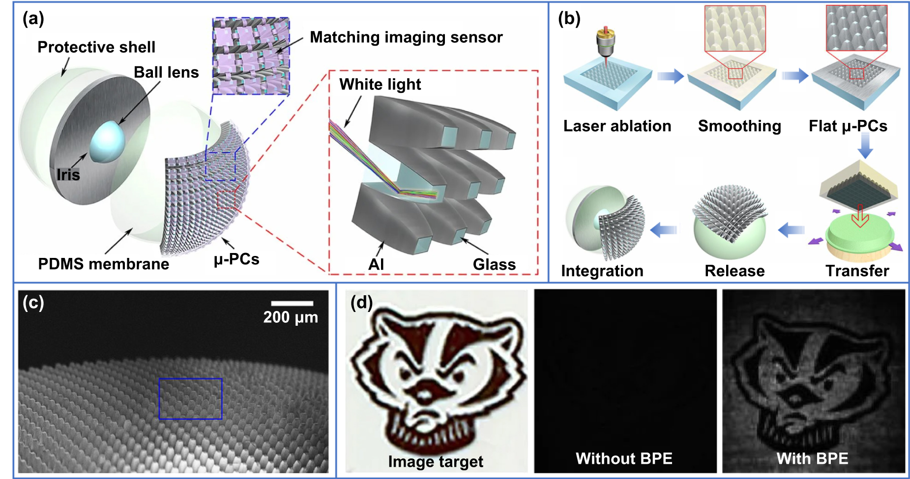 Recent advances in femtosecond direct laser writing of micro