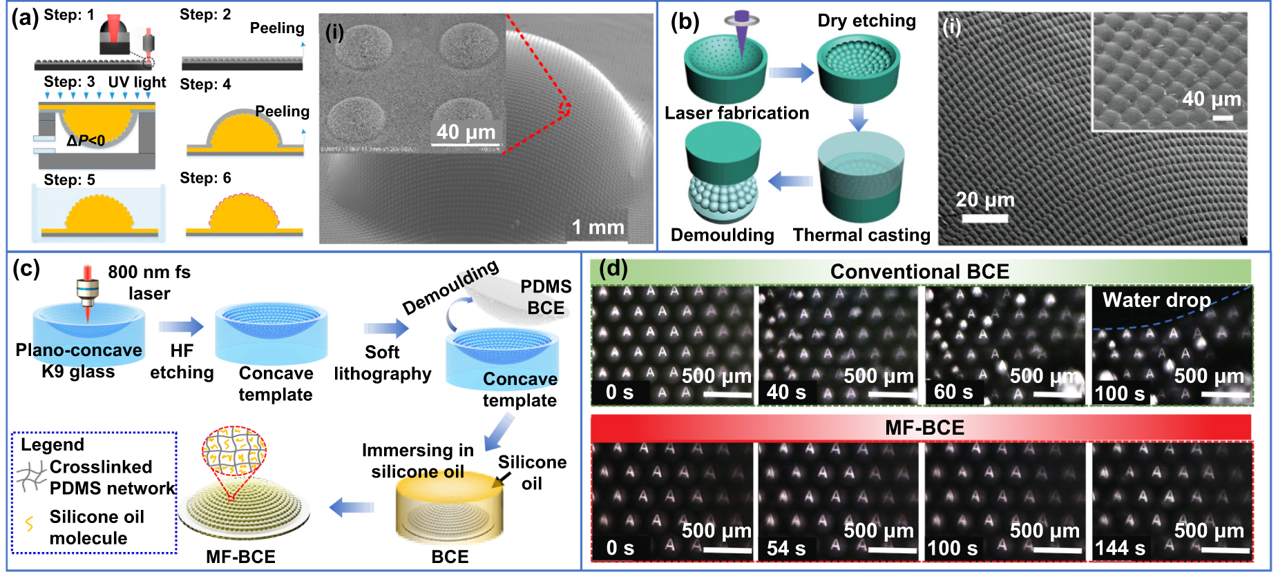Recent advances in femtosecond direct laser writing of micro
