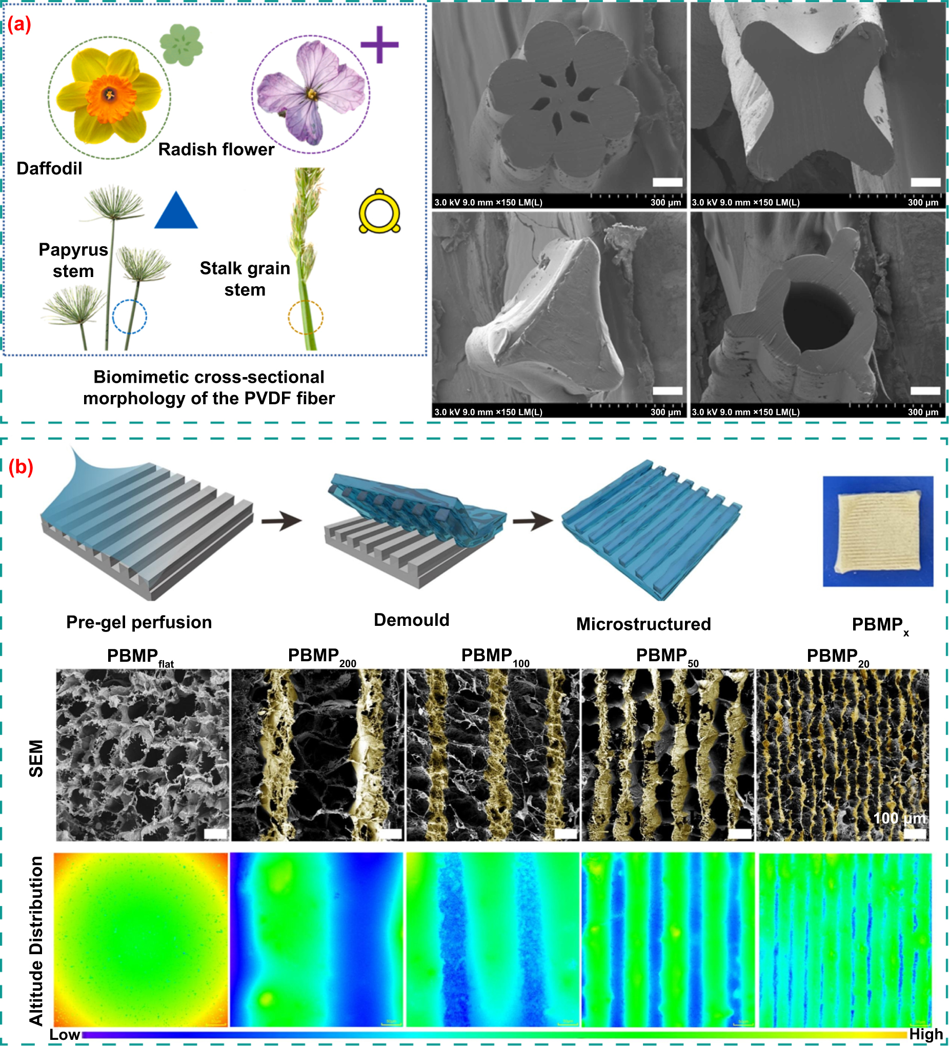 Piezoelectric scaffold for tissue engineering: material, structure