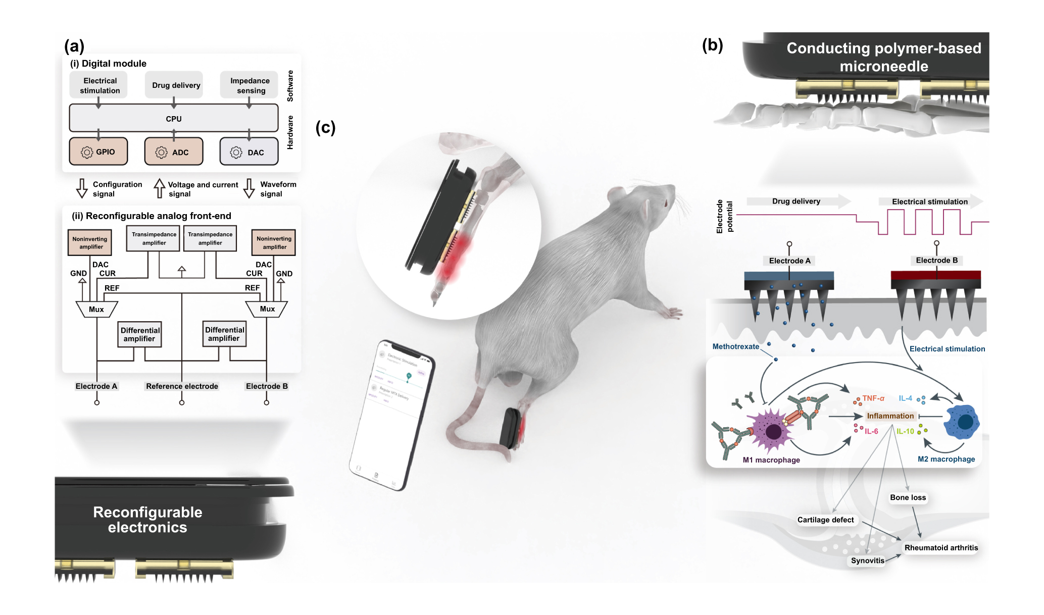 その他 Fu Emerging electroactive bio-microneedles for innovative minimally