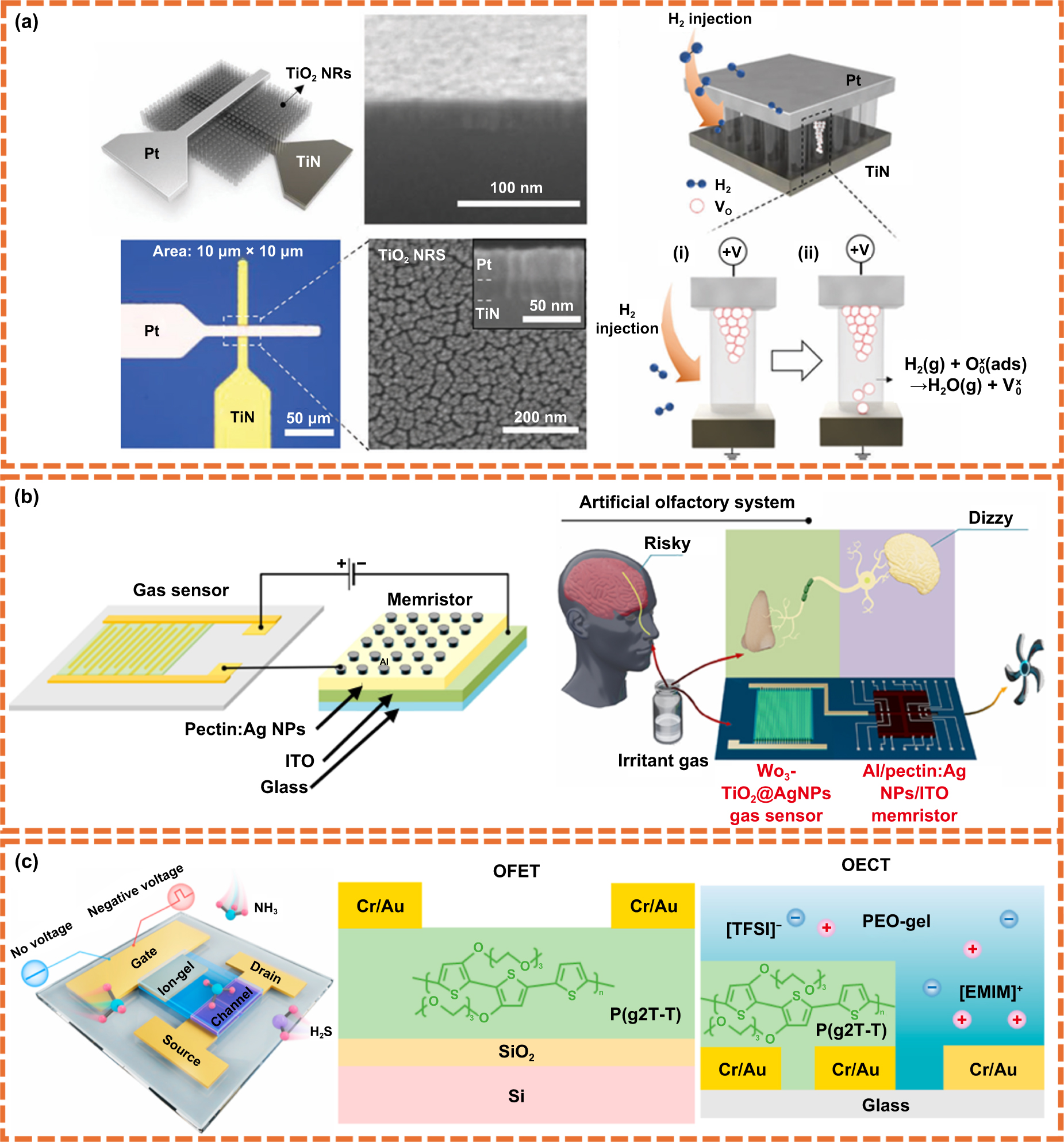 Human mimetic sensory-interfaced neuromorphic devices and their ...