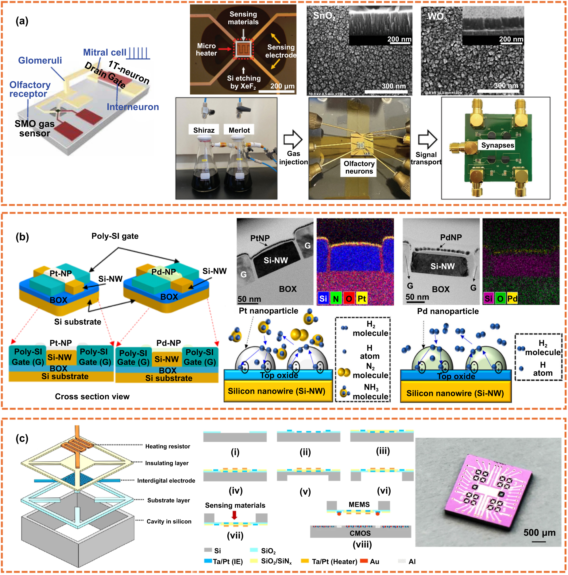 Human mimetic sensory-interfaced neuromorphic devices and their ...