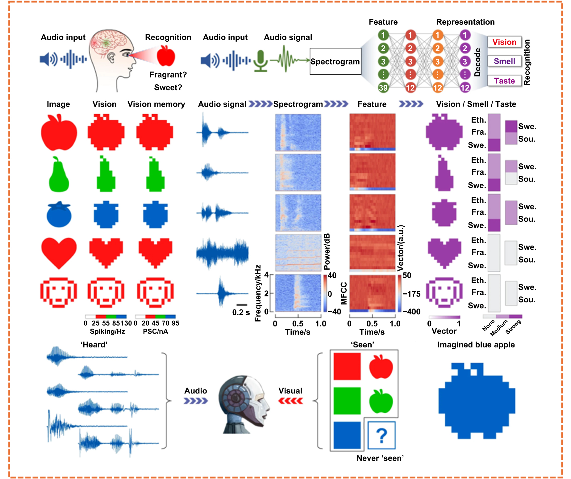 Human mimetic sensory-interfaced neuromorphic devices and their