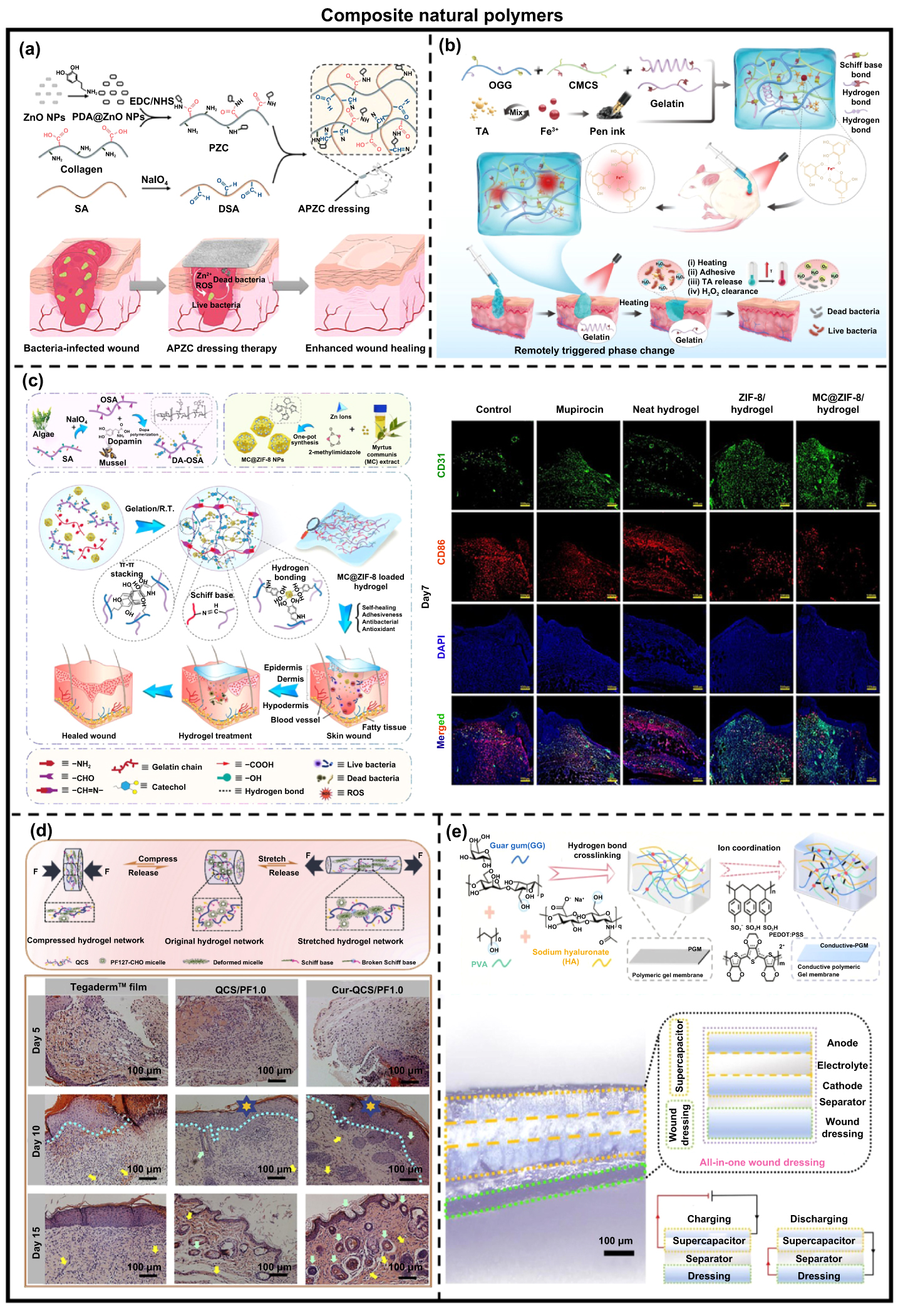 3D bioprinting of in vitro vascularized skin models and in vivo skin ...