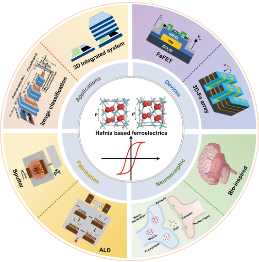 Toward high-layer 3D hafnia ferroelectric stacks for neuromorphic ...