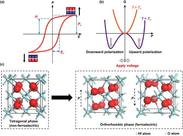 Toward high-layer 3D hafnia ferroelectric stacks for neuromorphic ...