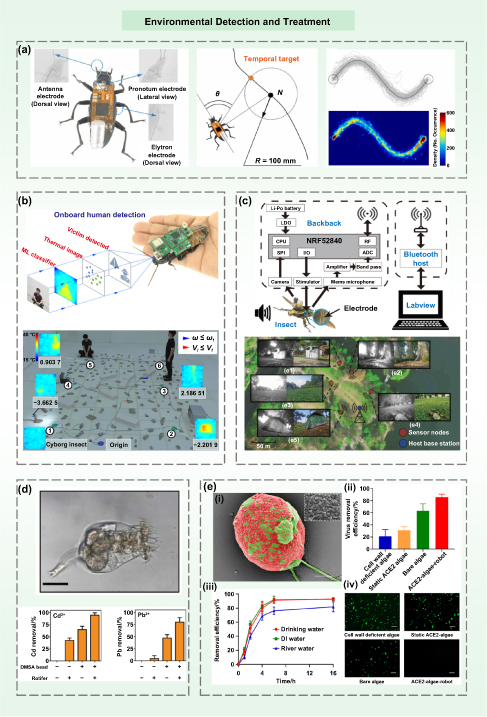 Biohybrid miniature robots using living organisms - IOPscience