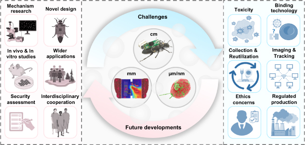 Biohybrid miniature robots using living organisms - IOPscience