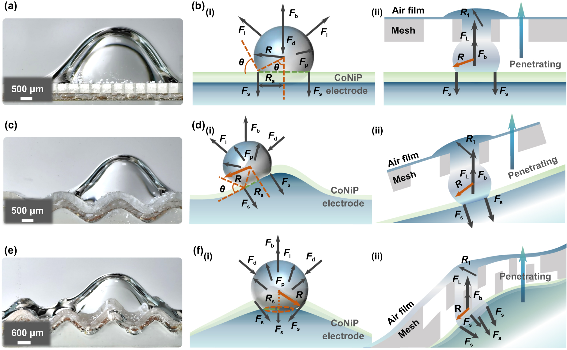 Bionic stacked 3D engineered functional electrodes for ultra-high