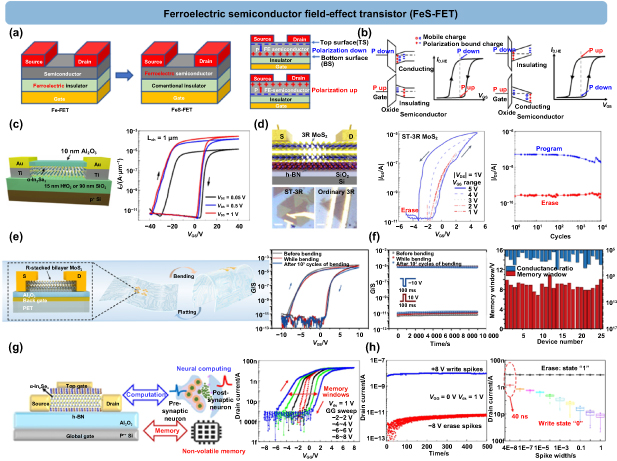 Emerging 2D ferroelectric materials for neuromorphic computing ...