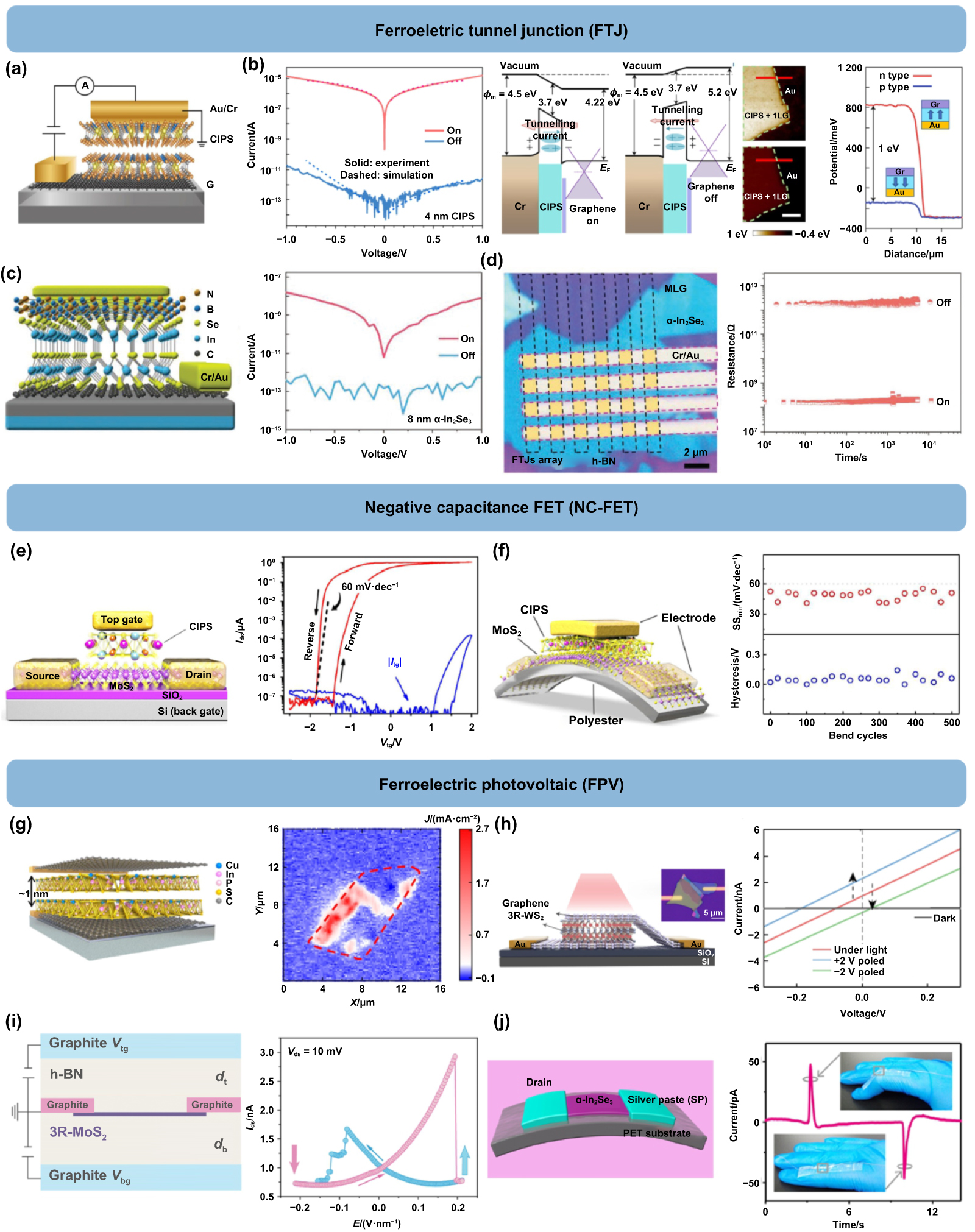 Emerging 2D ferroelectric materials for neuromorphic computing ...