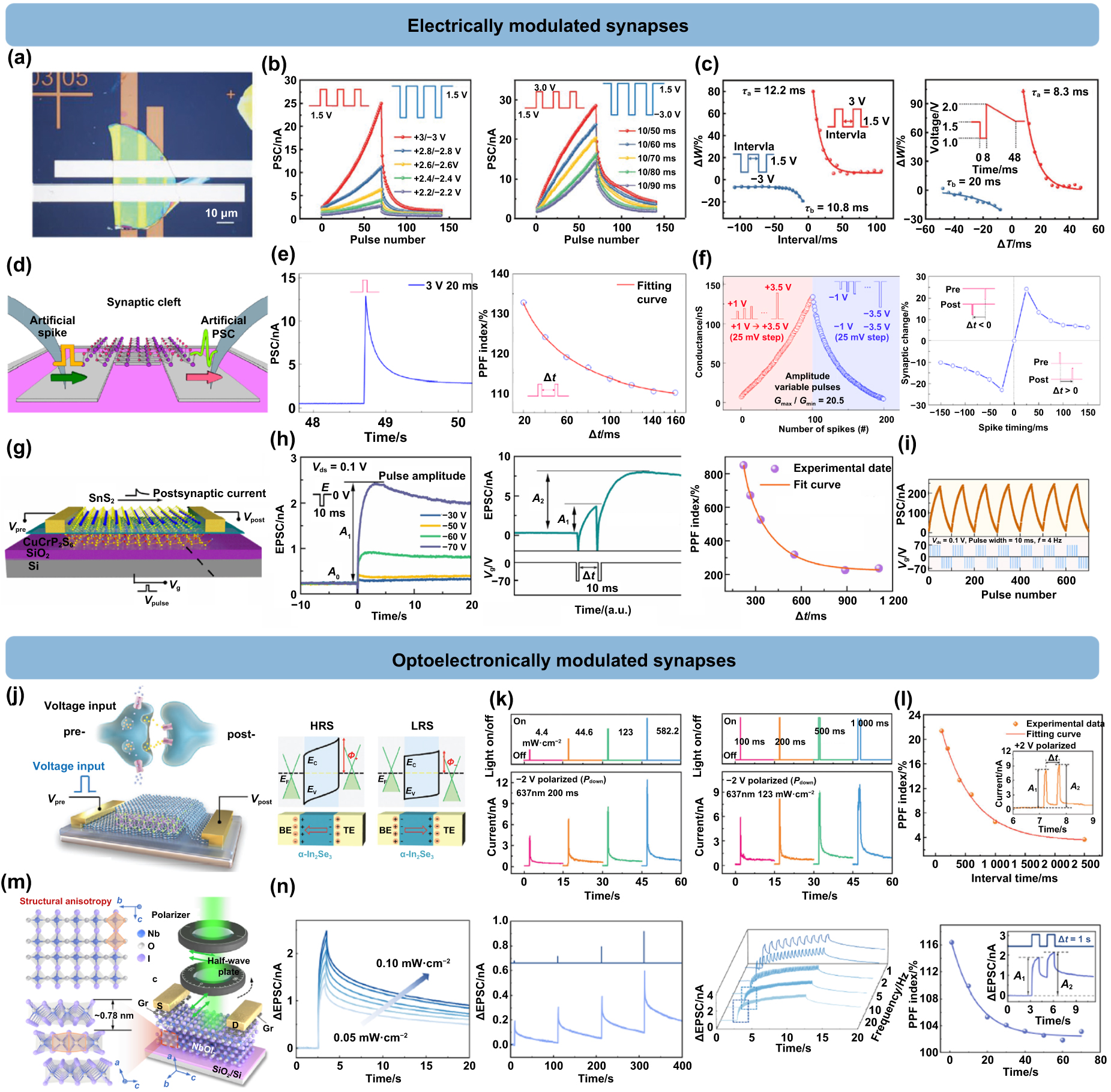 Emerging 2D ferroelectric materials for neuromorphic computing ...
