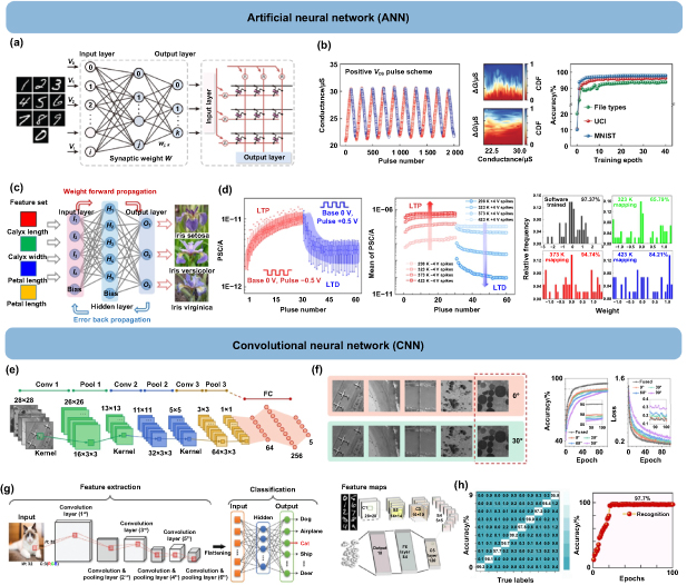 Emerging 2D ferroelectric materials for neuromorphic computing ...