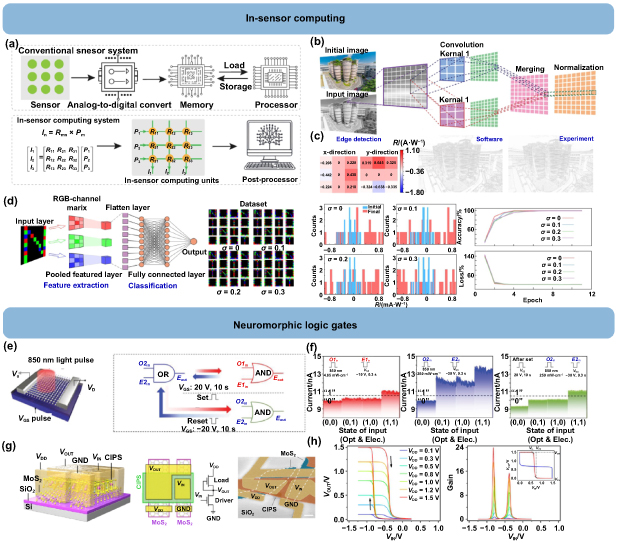 Emerging 2D ferroelectric materials for neuromorphic computing ...
