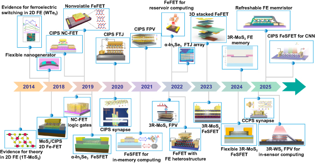 Emerging 2D ferroelectric materials for neuromorphic computing ...