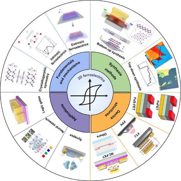 Emerging 2D ferroelectric materials for neuromorphic computing ...