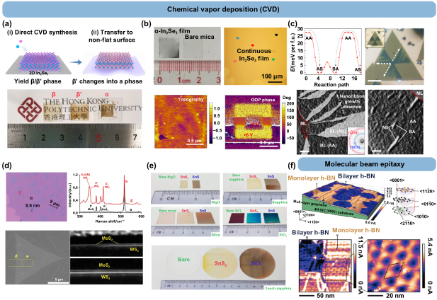 Emerging 2D ferroelectric materials for neuromorphic computing ...