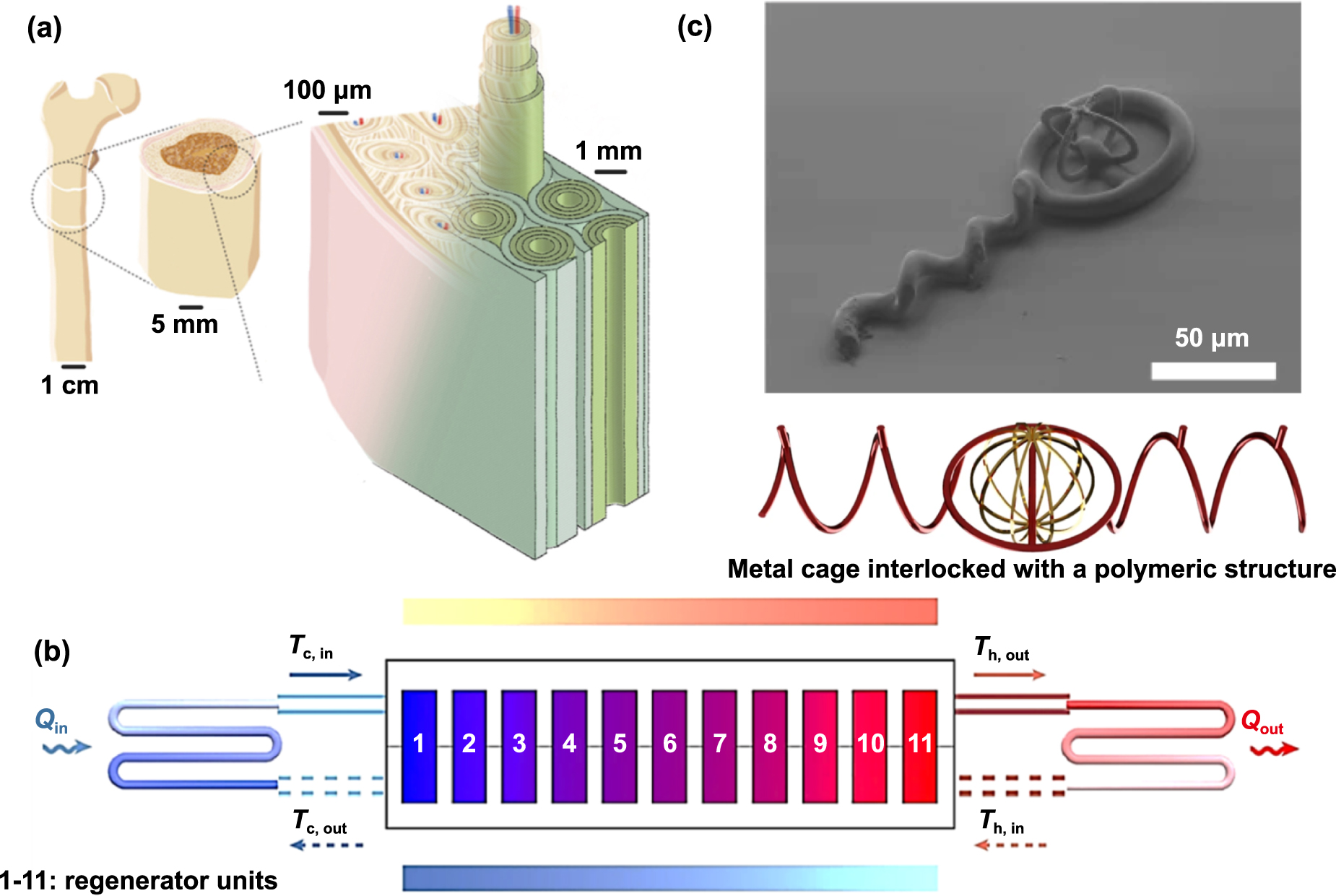 Multi-material processing of metallic components by direct