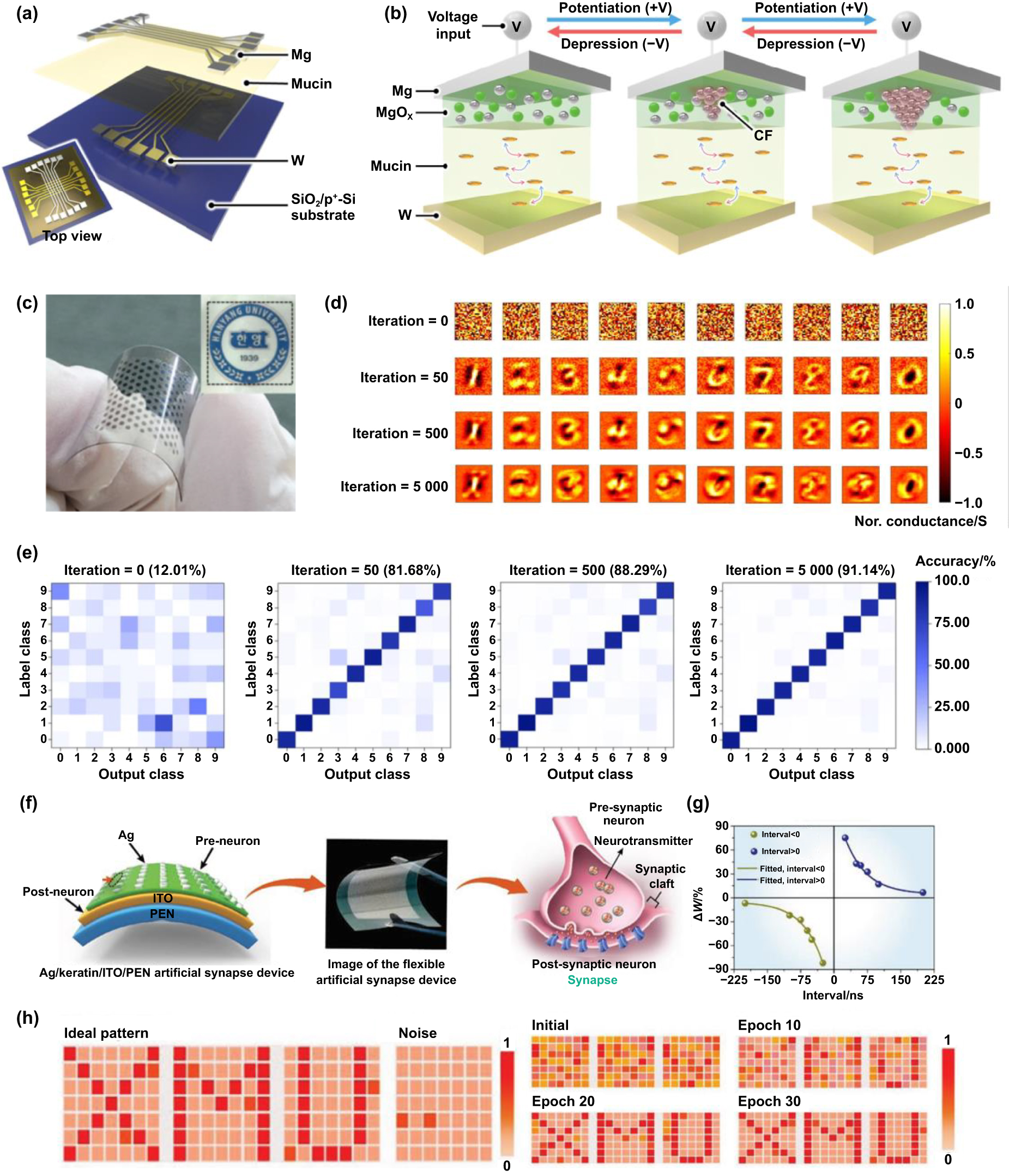 Flexible, biocompatible, and biodegradable memristive materials