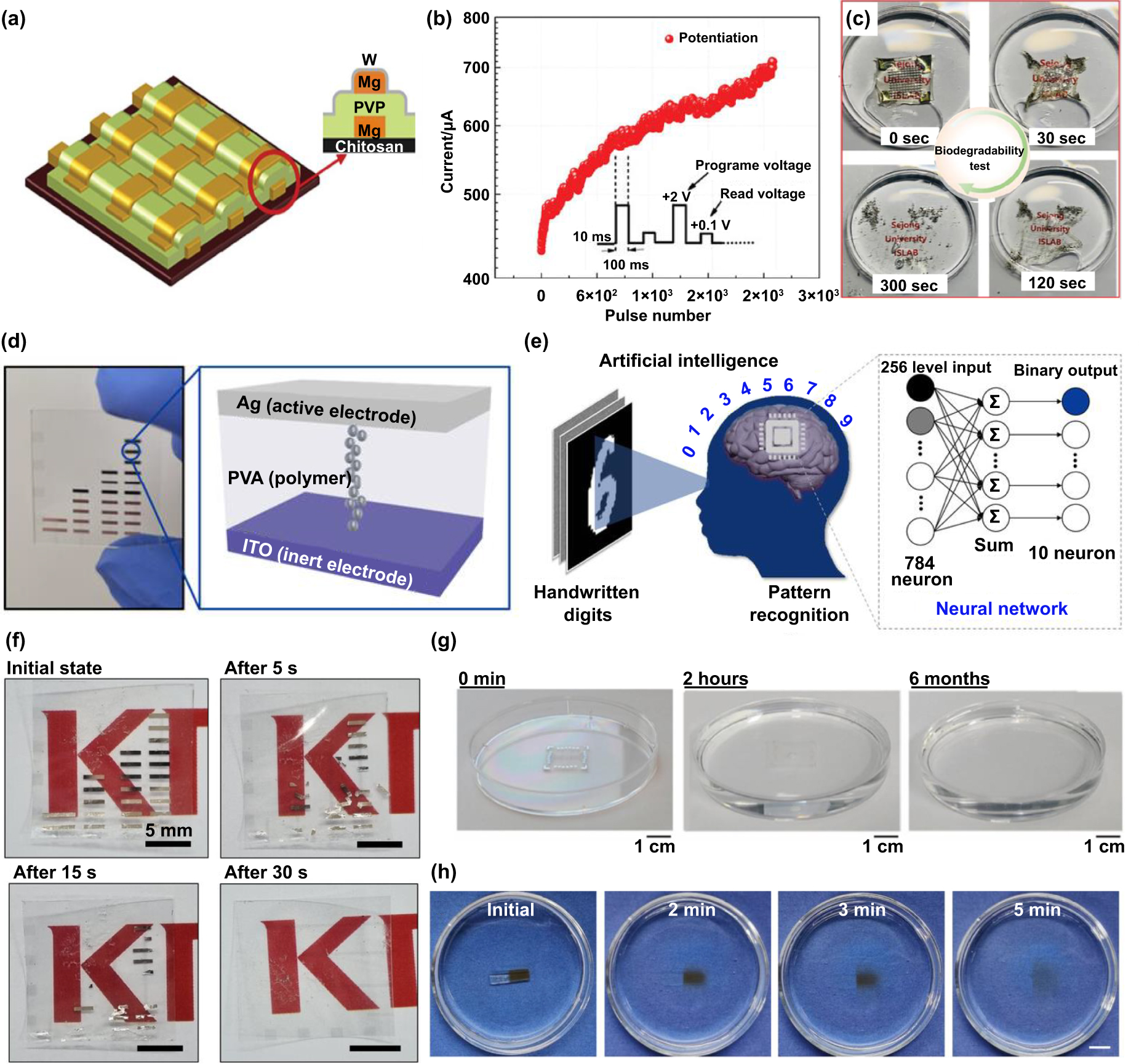 Flexible, biocompatible, and biodegradable memristive materials
