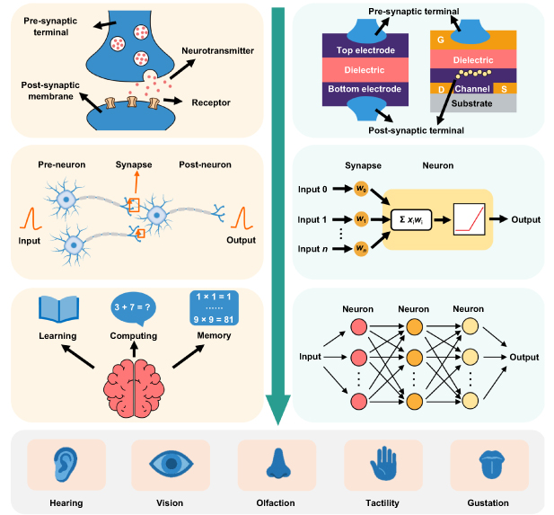 Manufacture of synaptic transistor-based neuromorphic systems: from ...