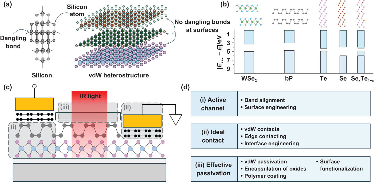 A perspective on the advanced manufacturing of p-type 2D materials