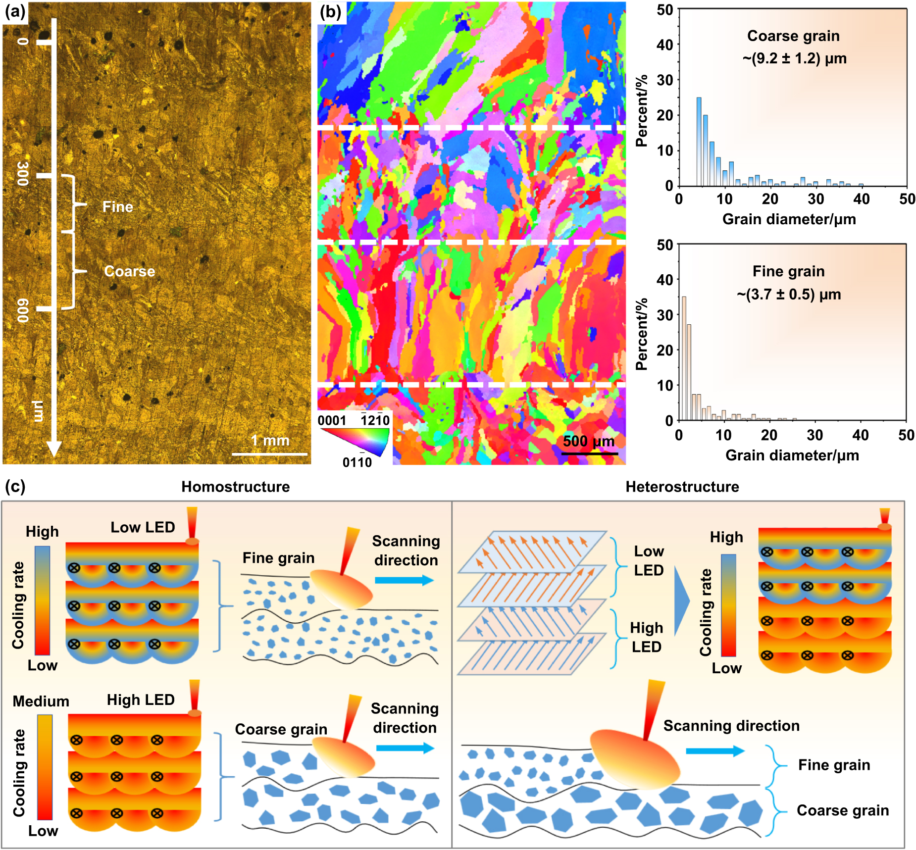 Superior strength-ductility synergy in heterostructured zinc alloy
