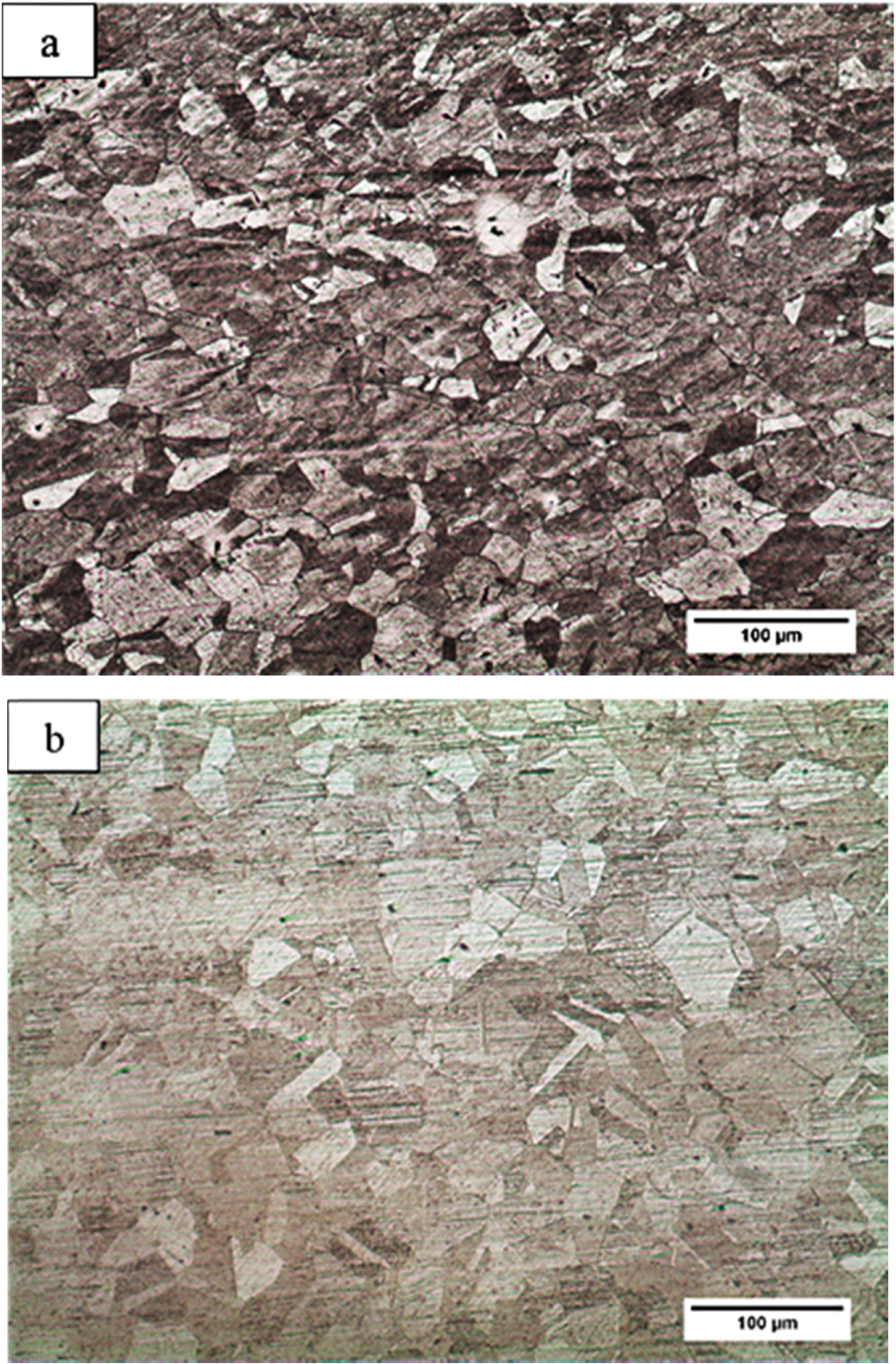 Microstructural and mechanical investigation of dissimilar joint of ...