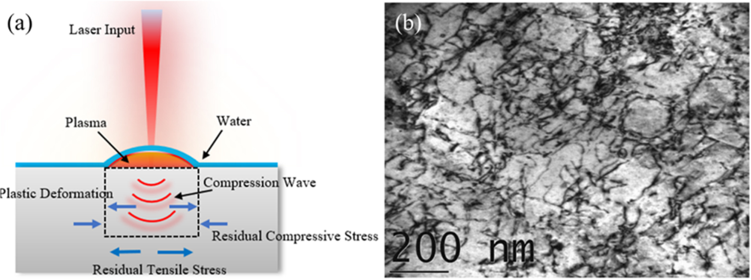Laser shock peening and its effects on microstructure and properties of ...