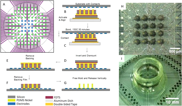 Fabrication and validation of flexible 3D pillar electrodes for neural ...