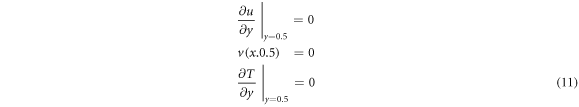 Equation (11)