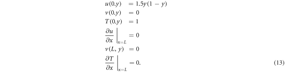 Equation (13)