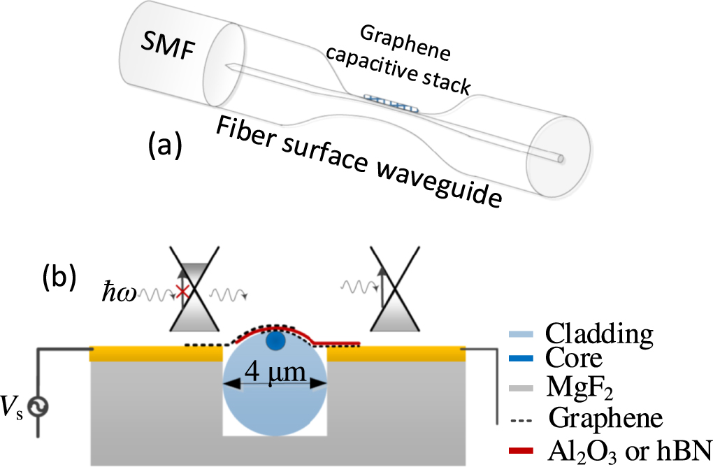Controllable polarization electro-optic absorption graphene modulator ...