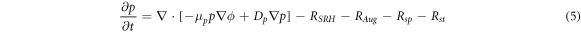Equation (5)