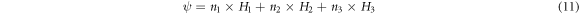Equation (11)