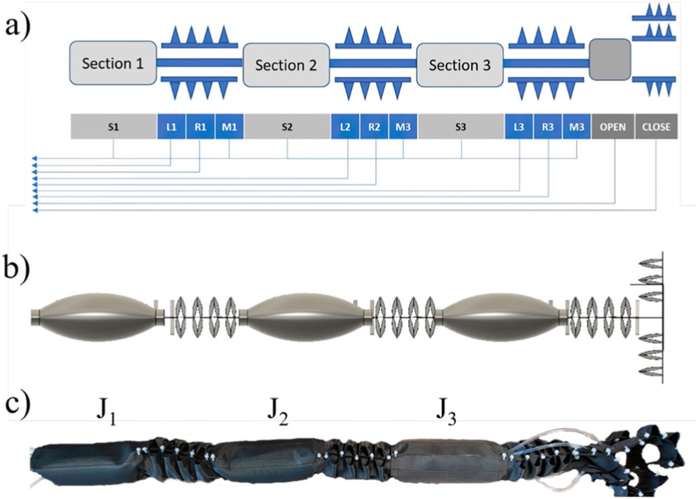 Modular Soft Robotics A bioinspired modular soft robotic arm - IOPscience