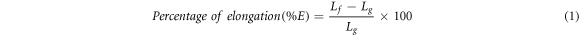 Equation (1)
