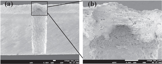 Figure 16. Refer to the following caption and surrounding text.