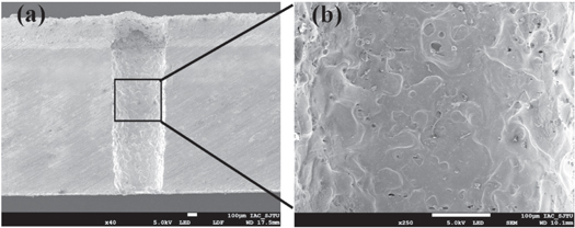 Figure 17. Refer to the following caption and surrounding text.