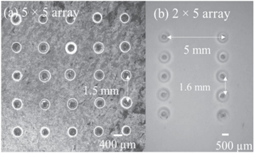 Figure 18. Refer to the following caption and surrounding text.