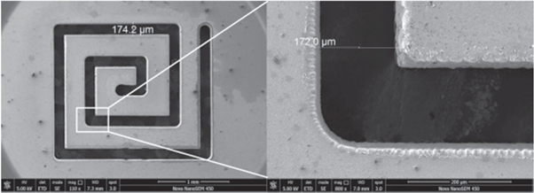 Figure 1. Refer to the following caption and surrounding text.