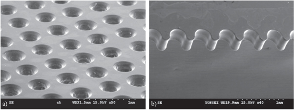 Figure 2. Refer to the following caption and surrounding text.