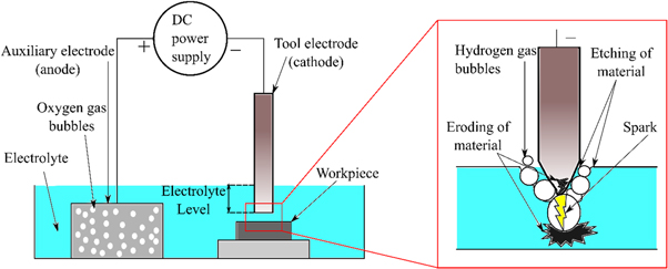 Figure 4. Refer to the following caption and surrounding text.