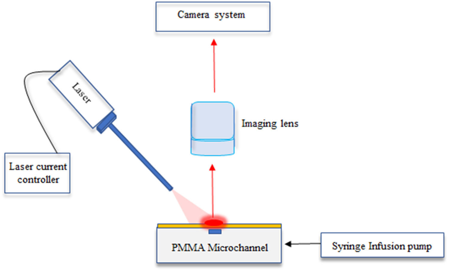 Machine learning integrated laser speckle image analysis for the ...