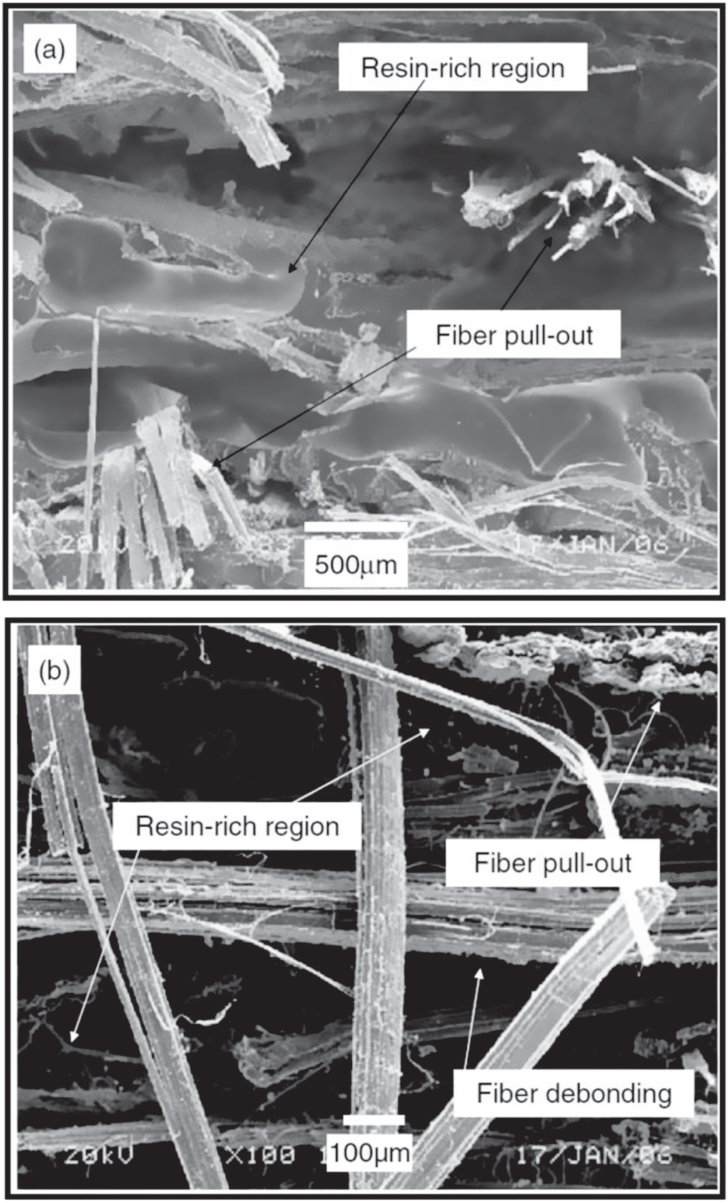 A comprehensive review on recent developments of natural fiber ...