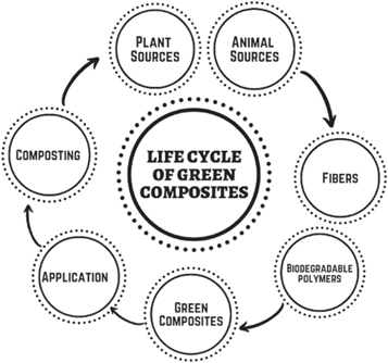 A comprehensive review on recent developments of natural fiber ...