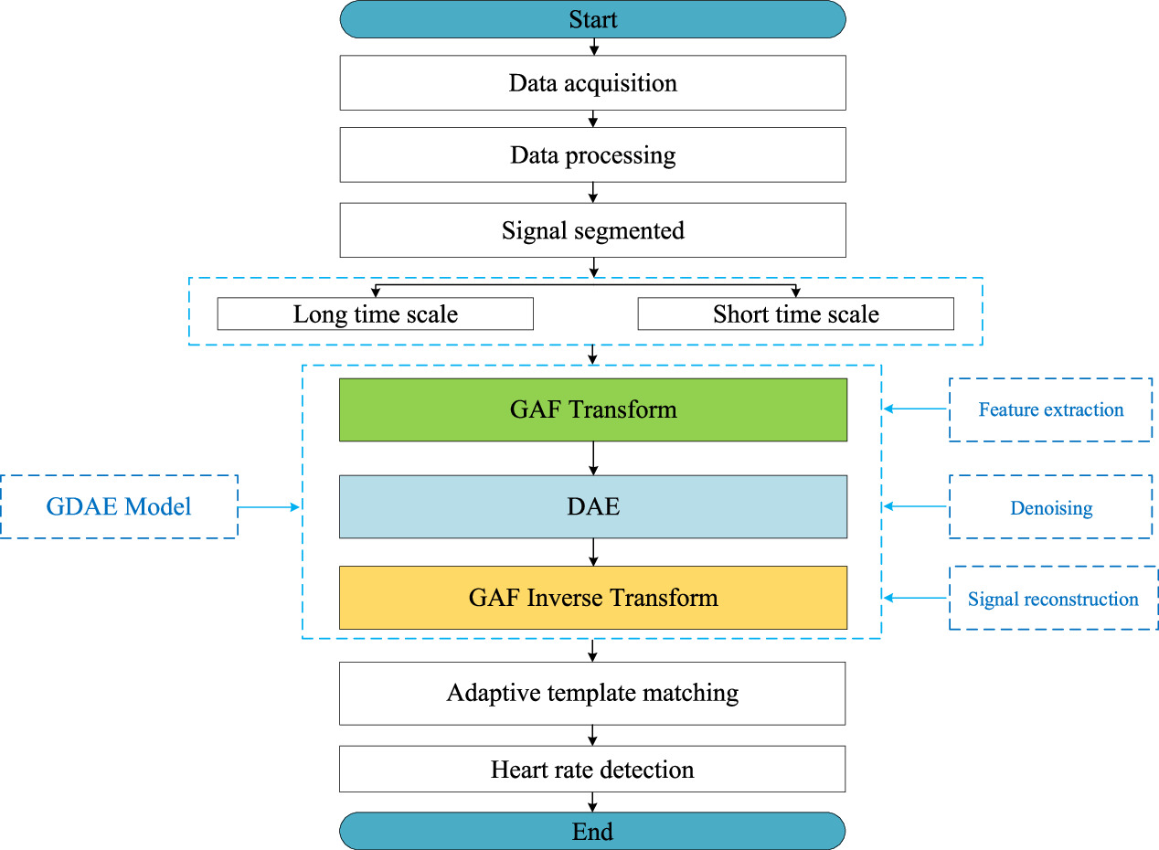 Heart rate detection of ballistocardiogram based on improved DAE and